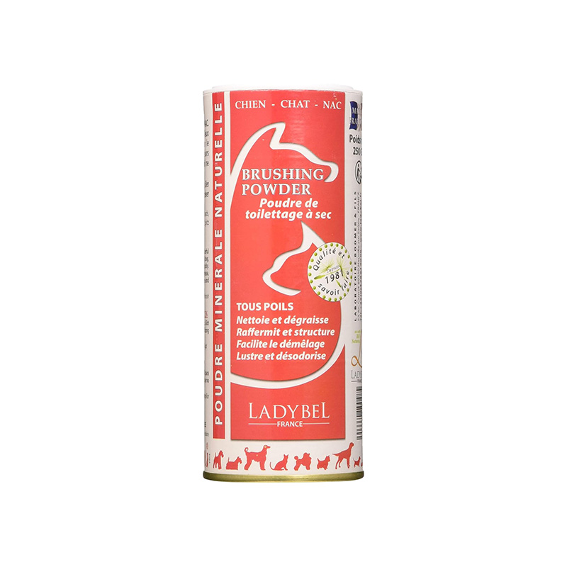 SHAMPOOING LADY BRUSHING POWDER 250G